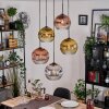 Koyoto hanging light, globe light, Cluster pendant lamp chrome, gold, clear, coppery, Smoke-coloured, 5-light sources