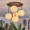 Chehalis ceiling light, globe light white, 5-light sources