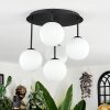 Chehalis ceiling light, globe light white, 5-light sources