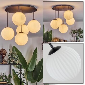 Chehalis ceiling light, globe light white, 5-light sources