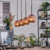 Ripoll hanging light, globe light, pendant light coppery, 4-light sources