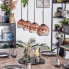 Ripoll hanging light, globe light, pendant light clear, coppery, 4-light sources