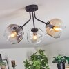 Ripoll ceiling light, globe light Amber, clear, Smoke-coloured, 3-light sources