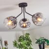 Ripoll ceiling light, globe light clear, Smoke-coloured, 3-light sources