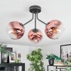 Ripoll ceiling light, globe light clear, coppery, 3-light sources