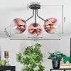 Ripoll ceiling light, globe light clear, coppery, 3-light sources