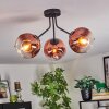 Ripoll ceiling light, globe light clear, coppery, 3-light sources