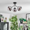 Gastor ceiling light, globe light chrome, clear, Smoke-coloured, 3-light sources