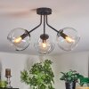 Koyoto ceiling light, globe light 42 cm clear, 3-light sources