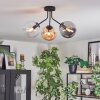 Gastor ceiling light, globe light 42 cm Amber, clear, Smoke-coloured, 3-light sources