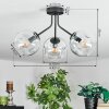 Ripoll ceiling light, globe light clear, 3-light sources