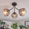 Koyoto ceiling light, globe light clear, Smoke-coloured, 3-light sources