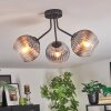 Koyoto ceiling light, globe light clear, Smoke-coloured, 3-light sources