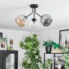 Ripoll ceiling light, globe light Amber, clear, Smoke-coloured, 3-light sources