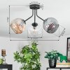 Ripoll ceiling light, globe light Amber, clear, Smoke-coloured, 3-light sources