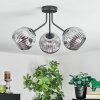 Ripoll ceiling light, globe light Smoke-coloured, 3-light sources