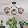 Ripoll ceiling light, globe light Smoke-coloured, 3-light sources