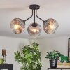 Ripoll ceiling light, globe light clear, Smoke-coloured, 3-light sources