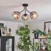 Ripoll ceiling light, globe light clear, Smoke-coloured, 3-light sources