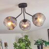 Ripoll ceiling light, globe light clear, Smoke-coloured, 3-light sources