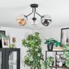 Ripoll ceiling light, globe light Amber, clear, Smoke-coloured, 3-light sources