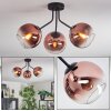 Koyoto ceiling light, globe light clear, coppery, 3-light sources