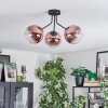Koyoto ceiling light, globe light clear, coppery, 3-light sources