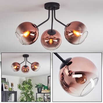 Koyoto ceiling light, globe light clear, coppery, 3-light sources