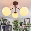 Gastor ceiling light, globe light white, 3-light sources