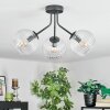 Koyoto ceiling light, globe light clear, 3-light sources