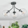 Koyoto ceiling light, globe light clear, 3-light sources