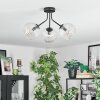 Koyoto ceiling light, globe light clear, 3-light sources