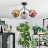 Ripoll ceiling light, globe light gold, coppery, Smoke-coloured, 3-light sources