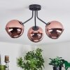 Ripoll ceiling light, globe light coppery, 3-light sources