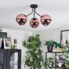 Ripoll ceiling light, globe light coppery, 3-light sources