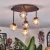 Chehalis ceiling light, globe light Amber, clear, Smoke-coloured, 5-light sources