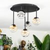 Chehalis ceiling light, globe light Amber, clear, Smoke-coloured, 5-light sources