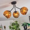 Ripoll ceiling light, globe light gold, 3-light sources