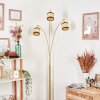 Chellas floor lamp brass, black, 3-light sources