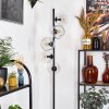 Ripoll floor lamp clear, 5-light sources