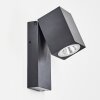 Hilton Outdoor Wall Light anthracite, 1-light source