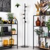 Koyoto floor lamp 31 cm clear, 5-light sources