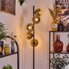 Koyoto floor lamp 31 cm gold, clear, 5-light sources