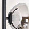 Koyoto floor lamp 31 cm chrome, clear, Smoke-coloured, 5-light sources