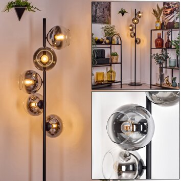 Koyoto floor lamp 31 cm chrome, clear, Smoke-coloured, 5-light sources