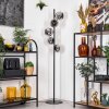 Koyoto floor lamp 31 cm chrome, Smoke-coloured, 5-light sources