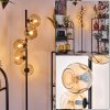 Ripoll floor lamp Amber, 5-light sources