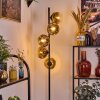 Ripoll floor lamp gold, clear, 5-light sources