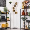 Ripoll floor lamp gold, clear, 5-light sources