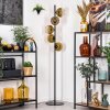 Koyoto floor lamp 31 cm gold, clear, 5-light sources